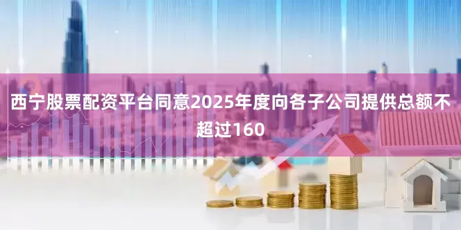 西宁股票配资平台同意2025年度向各子公司提供总额不超过160