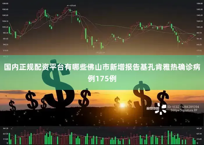 国内正规配资平台有哪些佛山市新增报告基孔肯雅热确诊病例175例
