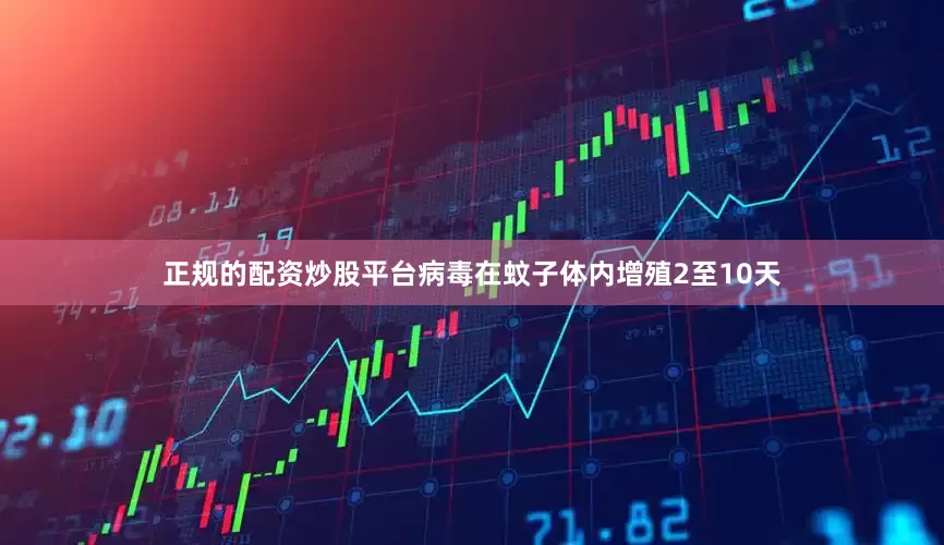 正规的配资炒股平台病毒在蚊子体内增殖2至10天