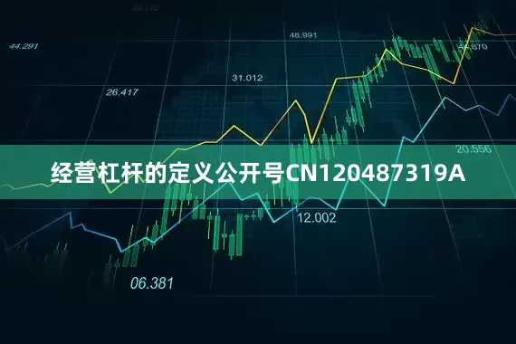 经营杠杆的定义公开号CN120487319A